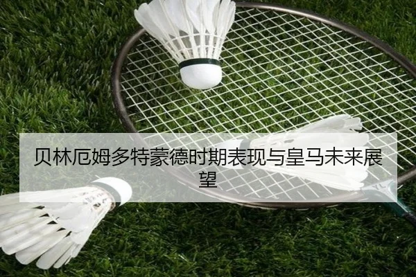贝林厄姆多特蒙德时期表现与皇马未来展望 - youde88